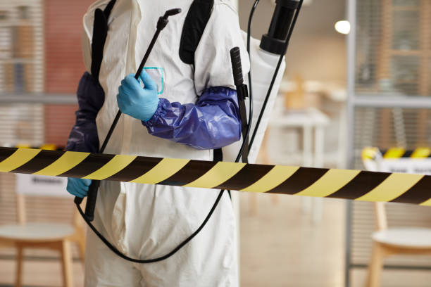 Professional Sewage Cleanup technician working in Hermitage, PA